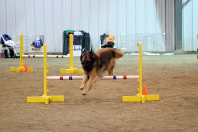 img_1932_std.jpg