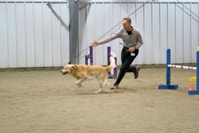 img_1943_std.jpg