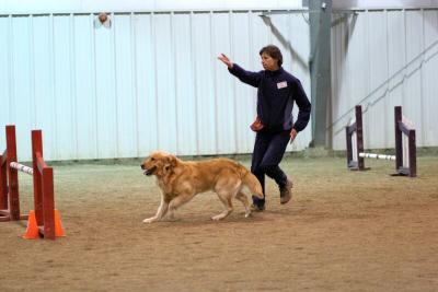 img_1946_std.jpg