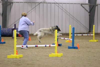 img_1981_std.jpg