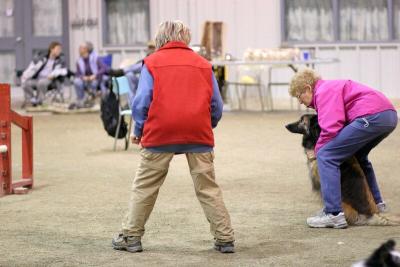 img_1988_std.jpg