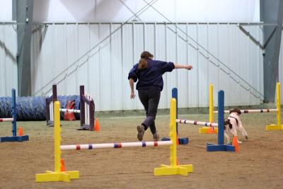 img_1998_std.jpg