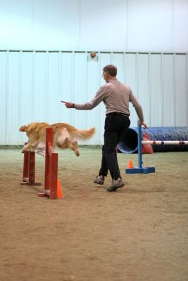 img_2008_std.jpg
