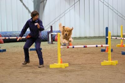 img_2011_std.jpg