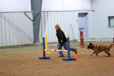 img_2024_std.jpg