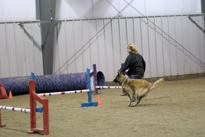 img_2025_std.jpg