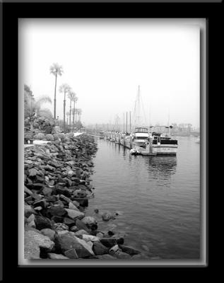 Harbor Infrared