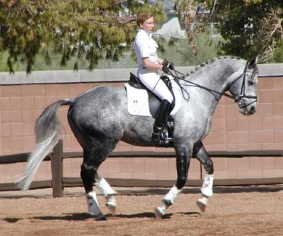 Dressage Show - Central Arizona Riding Academy - Oct 19, 2002