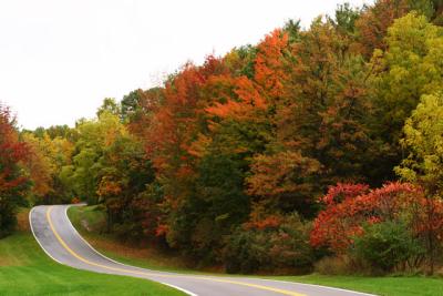 Letchworth Fall Colors
