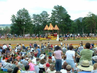 The Joust Stand