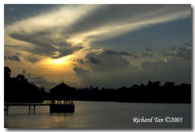 Macritchie Sunset 009.jpg