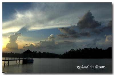 Macritchie Sunset 026.jpg