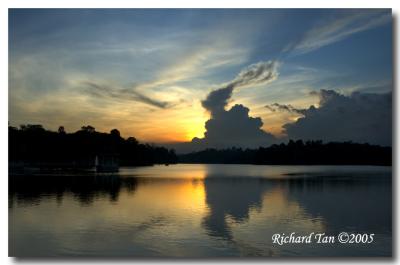 Macritchie Sunset 032.jpg