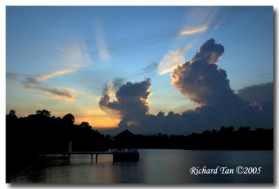 Macritchie Sunset 044.jpg