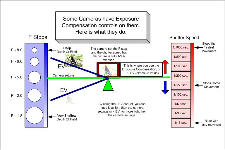 Exposure Compensation