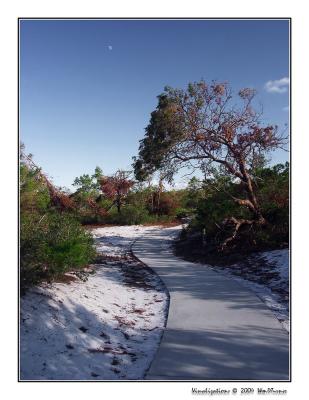Jupiter Ridge