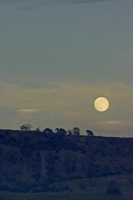 moonrise-hue3.jpg