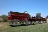 Clydesdales at Temecula Balloon and Wine Festival