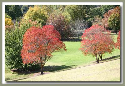 Autumn