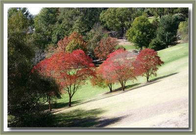 Autumn