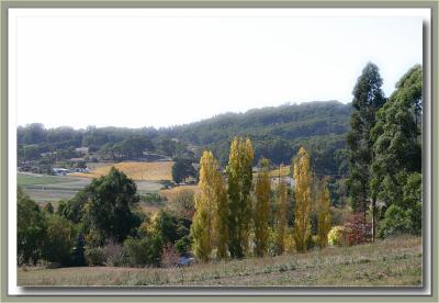 Mt. Lofty Botanic Gardens & the Piccadilly Valley