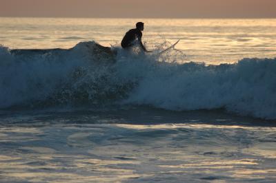 Asilomar Surfer