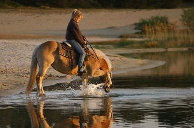 Me and my Horse