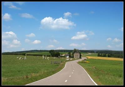A Summer in the Ardennes