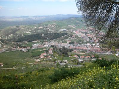 erice