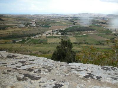 erice