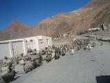 Tibet