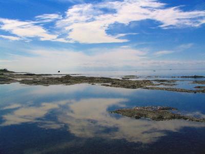 u11/zobroc/medium/42854331.miroirmiroir.jpg