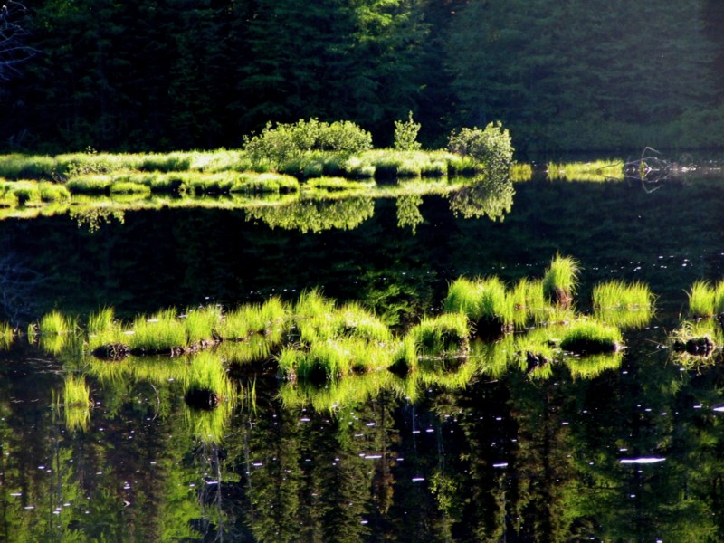 contrejour sur les marais