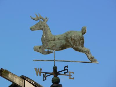 leaping stag