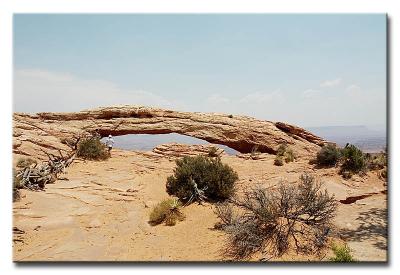 Mesa Arch #7636