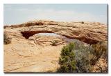 Mesa Arch #7640