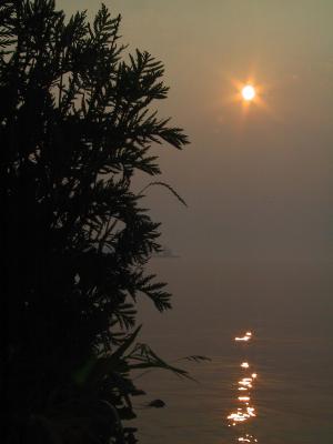 CRW_3777.jpg