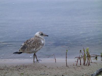 CRW_3806.jpg