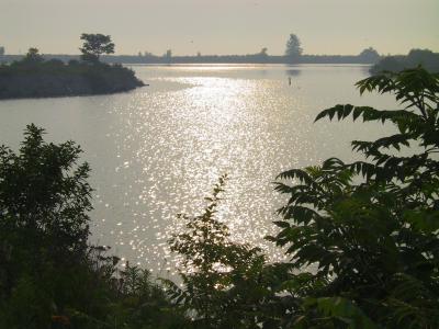 CRW_3788.jpg