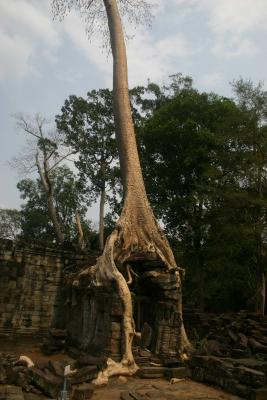 Preah Khan