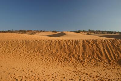Red Sand Dunes