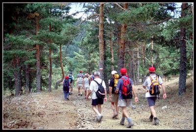 u12/agmolero/medium/21794122.Profilesagmolero.EUROPEDesktopCOSASPBASE_GINERGINER_029.jpg