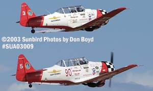 air show and warbird aviation stock photo #7672