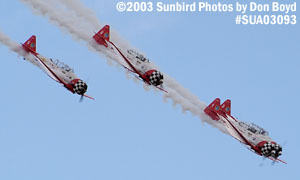 air show and warbird aviation stock photo #7762