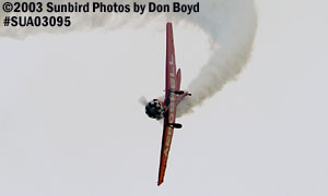 air show and warbird aviation stock photo #7765