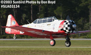 air show and warbird aviation stock photo #7816
