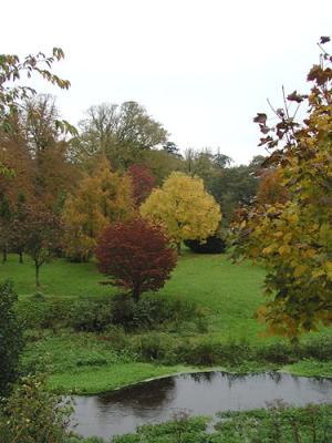 Grounds of Blarney Castle, Co. Cork