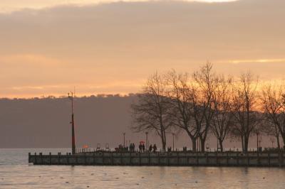 _MG_2486.JPG