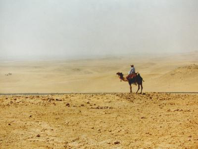 The Sahara (near the pyramids at Giza)