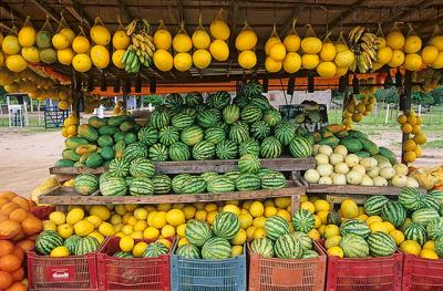 frutas mossoró.jpg